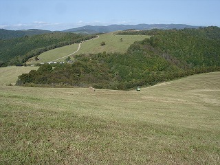 f0127866_98669.jpg