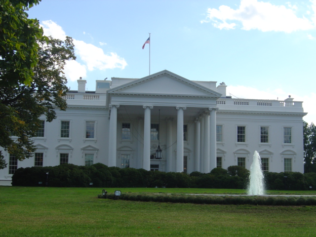 f0132366_821523.jpg