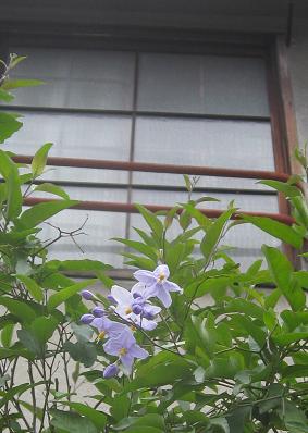 f0146466_17131053.jpg