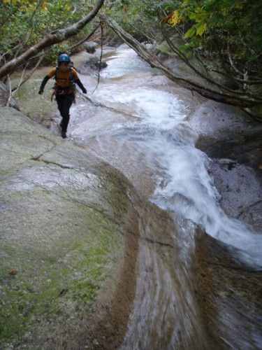 b0050067_23592745.jpg