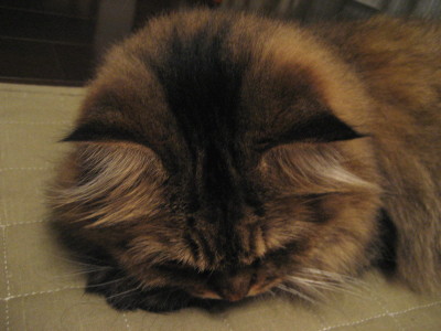 f0183274_2239550.jpg