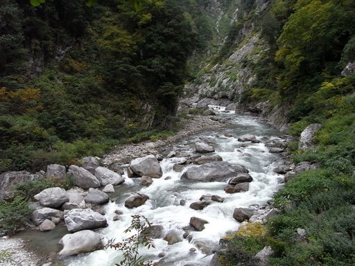 f0054075_011297.jpg