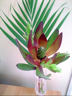 b0034381_12273740.jpg