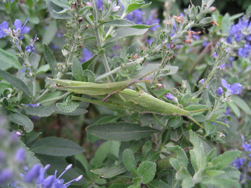 c0132387_2229141.jpg