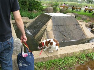 e0121589_19134171.jpg