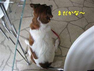 e0121589_1962320.jpg