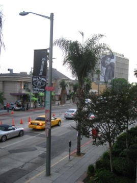 c0169390_154397.jpg