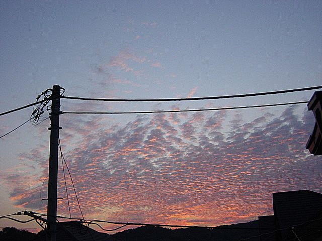 a0093592_23321750.jpg