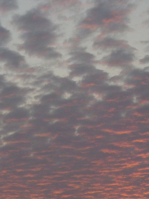 a0093592_23325535.jpg