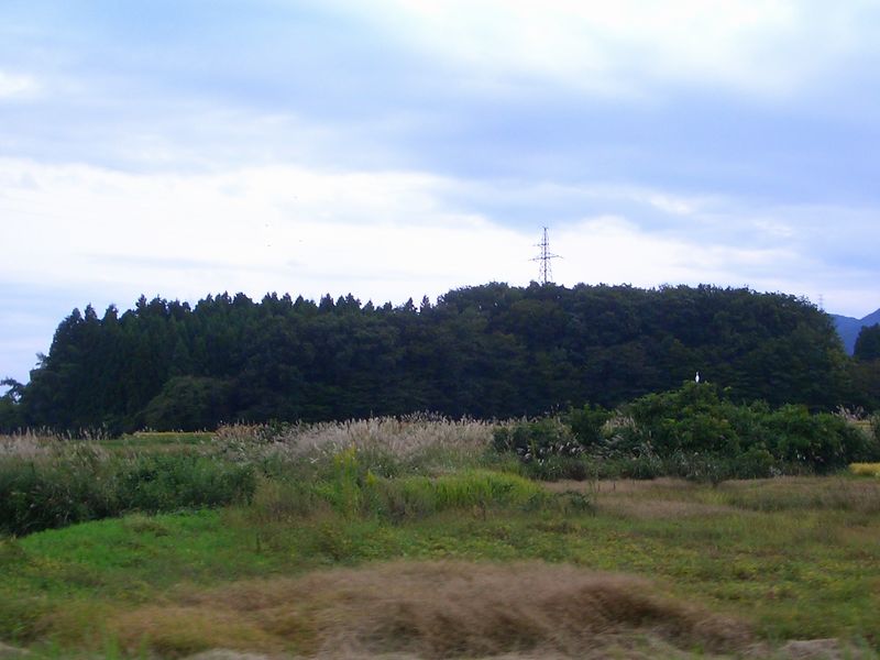 d0069498_204540100.jpg