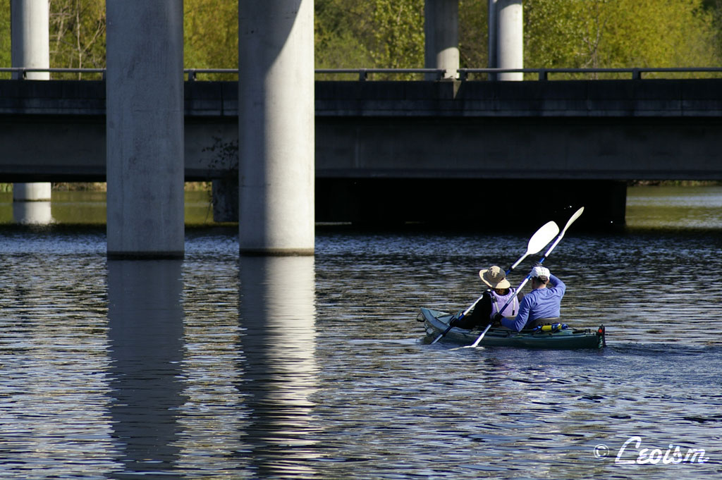 c0080101_1501862.jpg