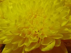 f0008510_6512350.jpg