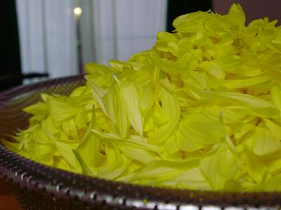 f0008510_65146.jpg