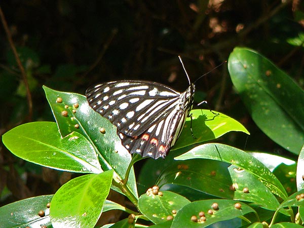 b0033112_21495083.jpg