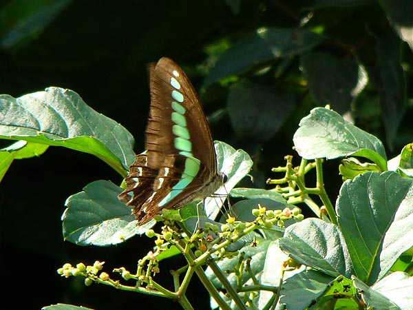 b0033112_21505052.jpg