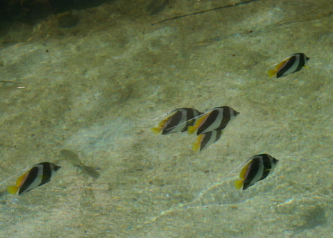 b0131812_11152736.jpg