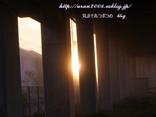 d0147812_21374864.jpg