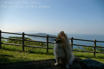 b0075318_21311437.gif