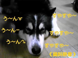 f0148927_10265064.jpg