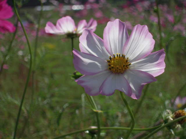 b0025633_20402584.jpg