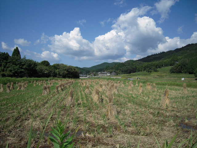 b0025633_2042275.jpg