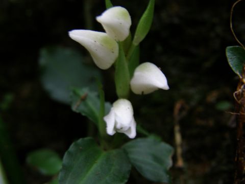 e0145033_6462640.jpg
