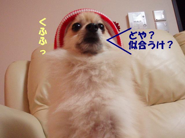 c0179136_23465897.jpg