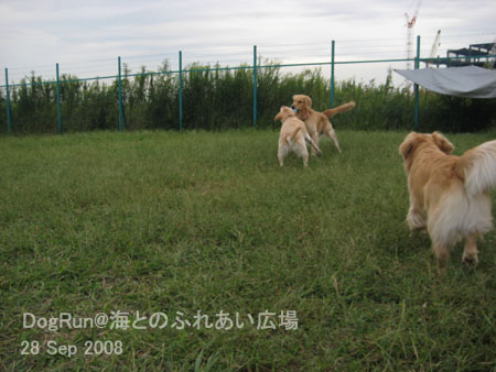 b0056138_14302225.jpg