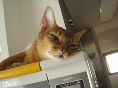 c0132438_223797.jpg