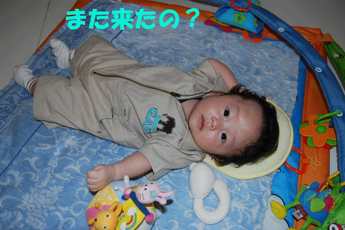 c0136838_22102191.gif
