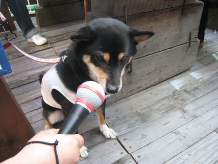 f0058241_22101597.jpg