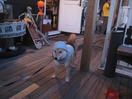 f0058241_22313835.jpg