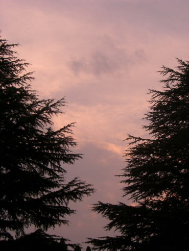 f0094843_19213589.jpg