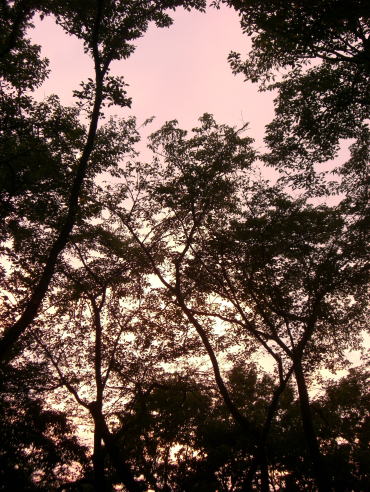 f0094843_19284612.jpg