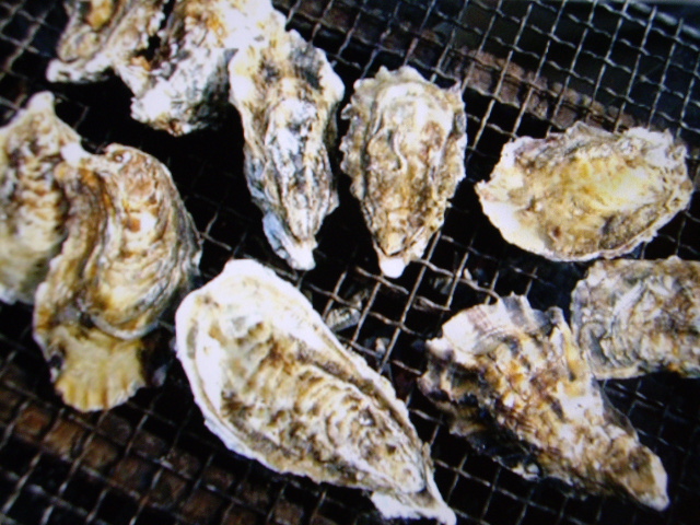 e0098547_028680.jpg
