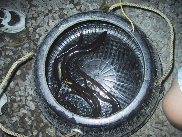 f0046250_2443046.jpg