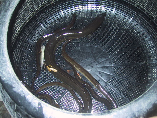 f0046250_2445857.jpg