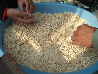 f0009451_1011061.jpg
