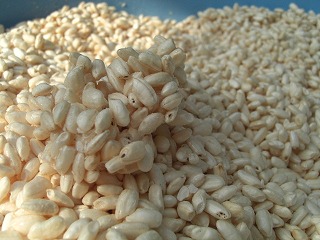 f0009451_1011100.jpg