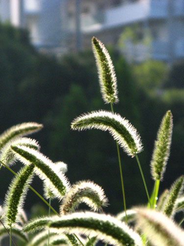 f0007956_21342418.jpg