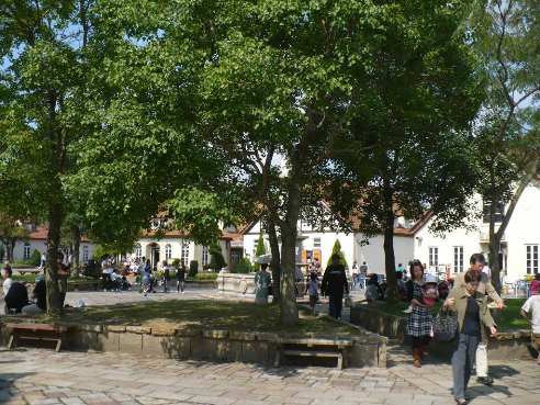 a0063364_034330.jpg