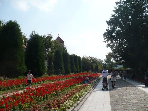 a0063364_06373.jpg