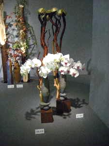 e0086864_13464093.jpg