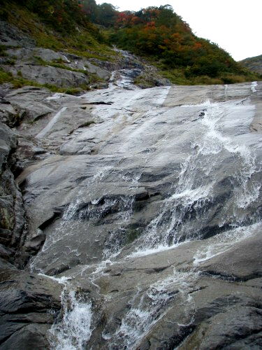 b0050067_0125688.jpg