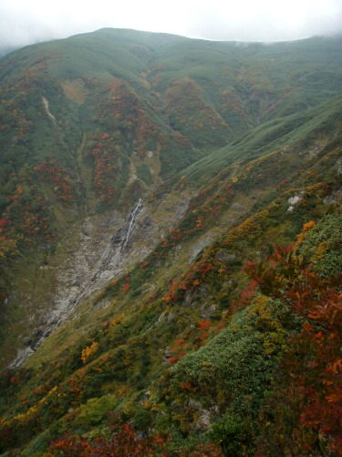 b0050067_122126.jpg
