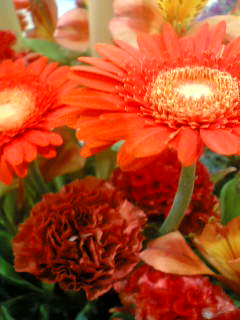f0100480_19242413.jpg