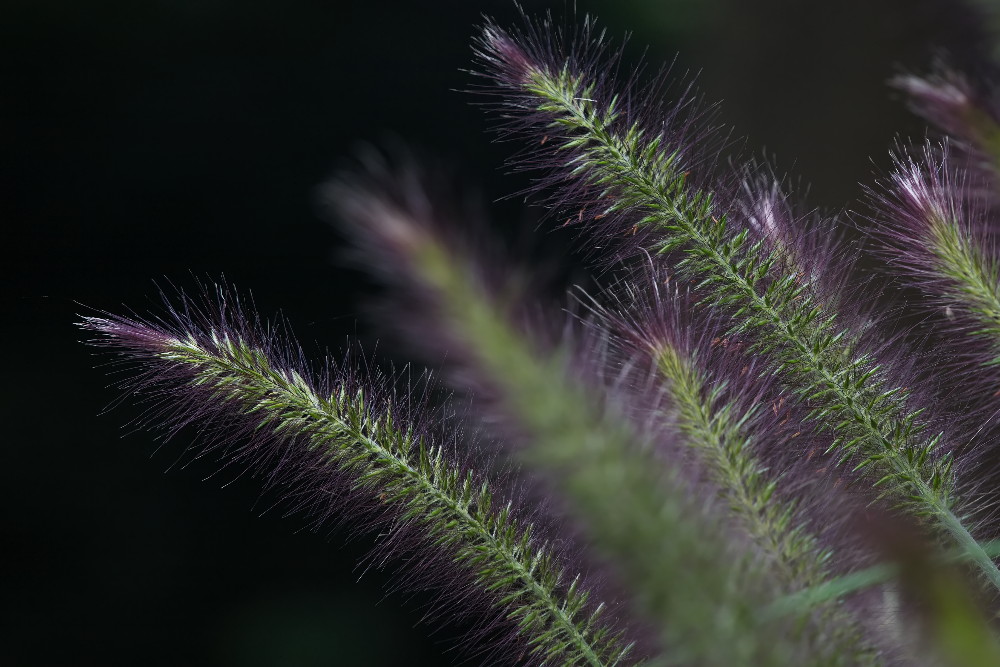 a0083081_17412110.jpg