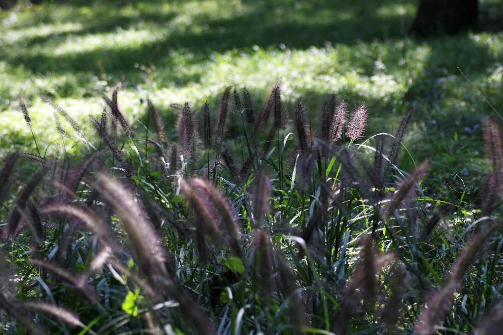 a0083081_17414652.jpg