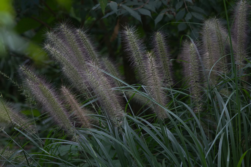 a0083081_17415525.jpg