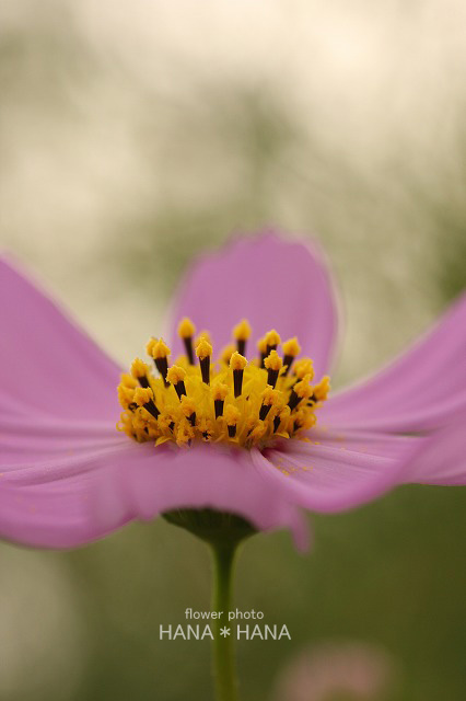b0143484_9552813.jpg